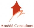 AMEDE CONSULTANT