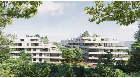 Investissement locatif dans le Bas-Rhin 67 : programme immobilier neuf pour investir Aeris  Strasbourg