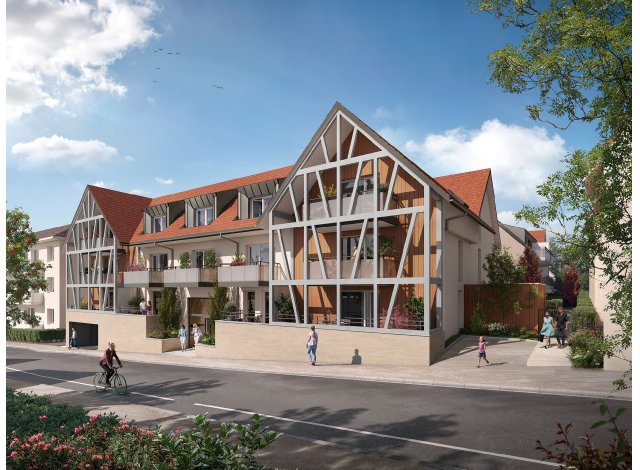Investissement locatif en Alsace : programme immobilier neuf pour investir Villa du Lion  Hoenheim