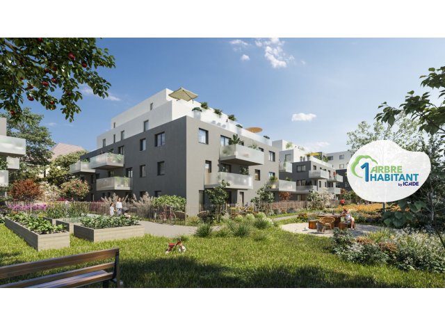 Investissement locatif en France : programme immobilier neuf pour investir Urban Green  Bischheim