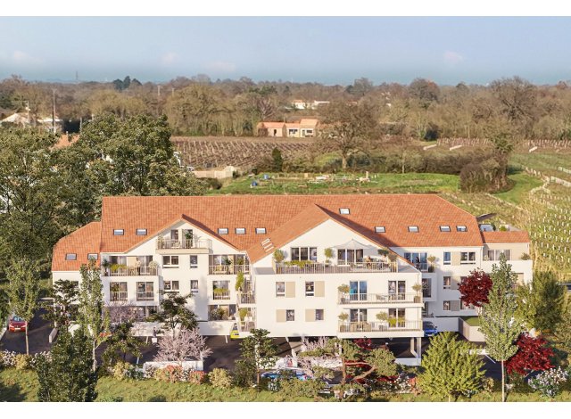 Investissement locatif en Loire Atlantique 44 : programme immobilier neuf pour investir Le Domaine des Vignes  Port-Saint-Père