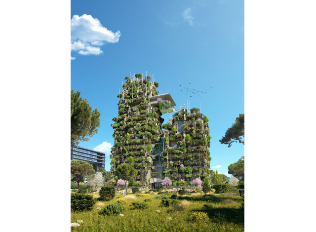 Investissement locatif en Languedoc-Roussillon : programme immobilier neuf pour investir Evanesens  Montpellier