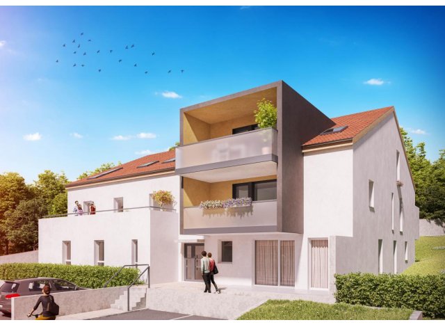 Investissement locatif  Fains-Vel : programme immobilier neuf pour investir Le Domaine du Parc  Laxou