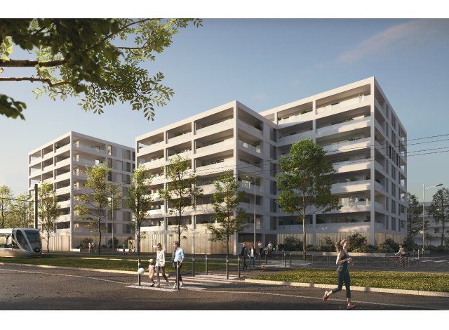 Investissement locatif en Midi-Pyrnes : programme immobilier neuf pour investir Carre des Cedres  Blagnac
