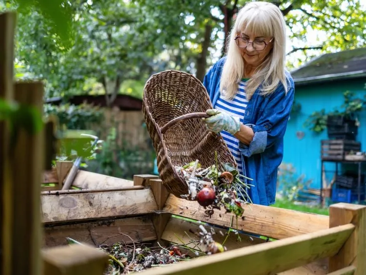 Compostage en copropriété : 5 idées reçues à déconstruire