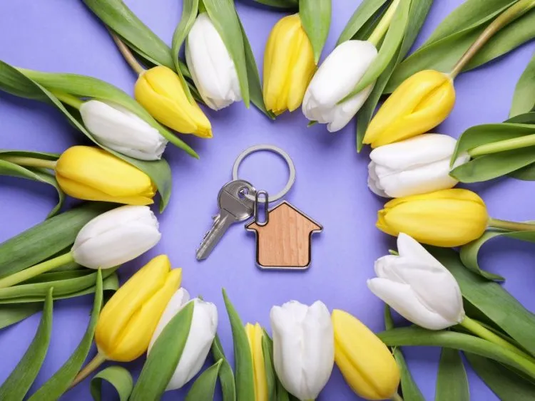 Printemps 2026 : pourquoi c'est le moment idéal pour lancer votre projet immobilier neuf ?