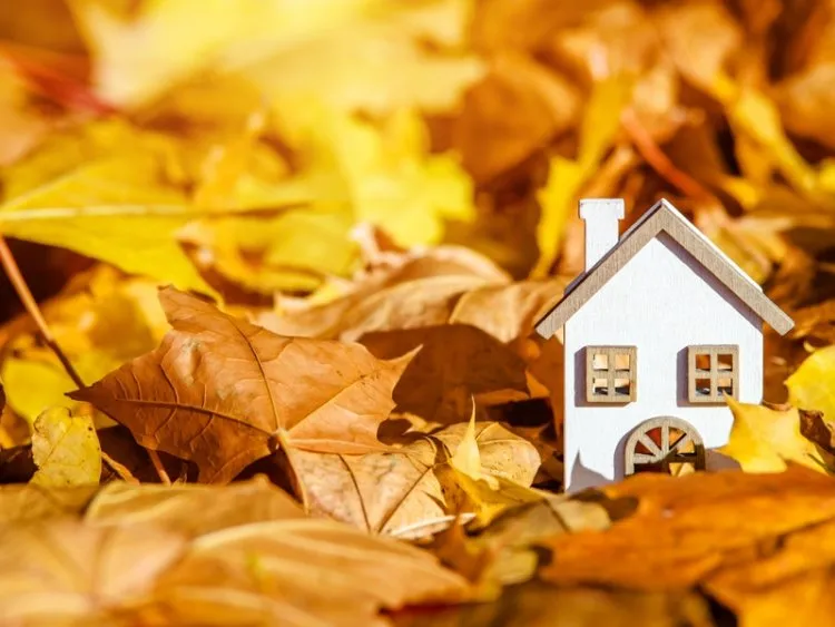 Immobilier neuf 2025 : les 5 chiffres à retenir de ce début d'automne