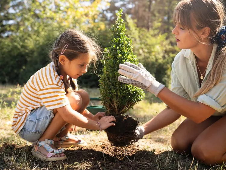 Marché du jardin : un printemps trompeur en 2025, quelle reprise en 2026 ?