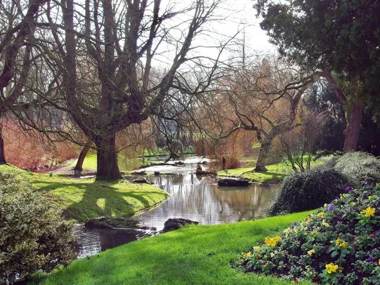 Accéder à la propriété à Roubaix : les clés pour acheter un appartement neuf
