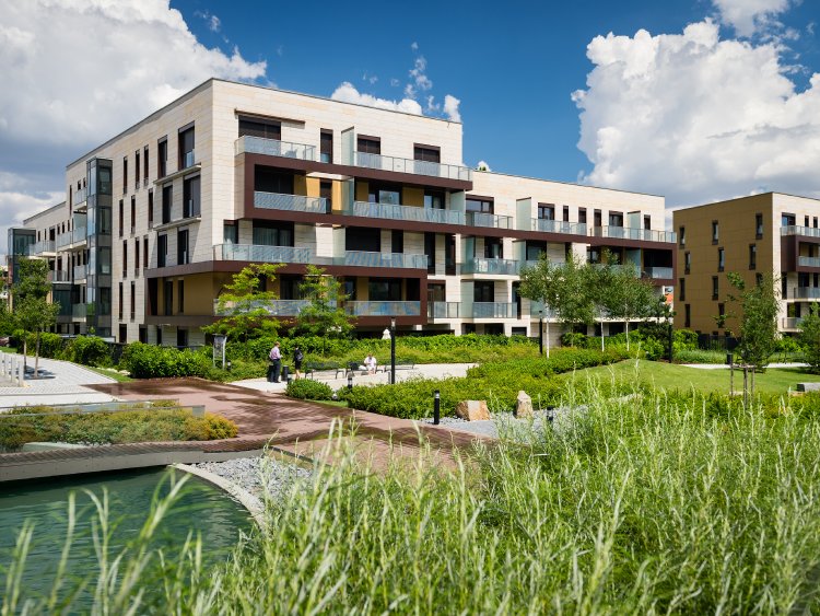 Pourquoi les acheteurs recherchent davantage de nature dans leur logement ?