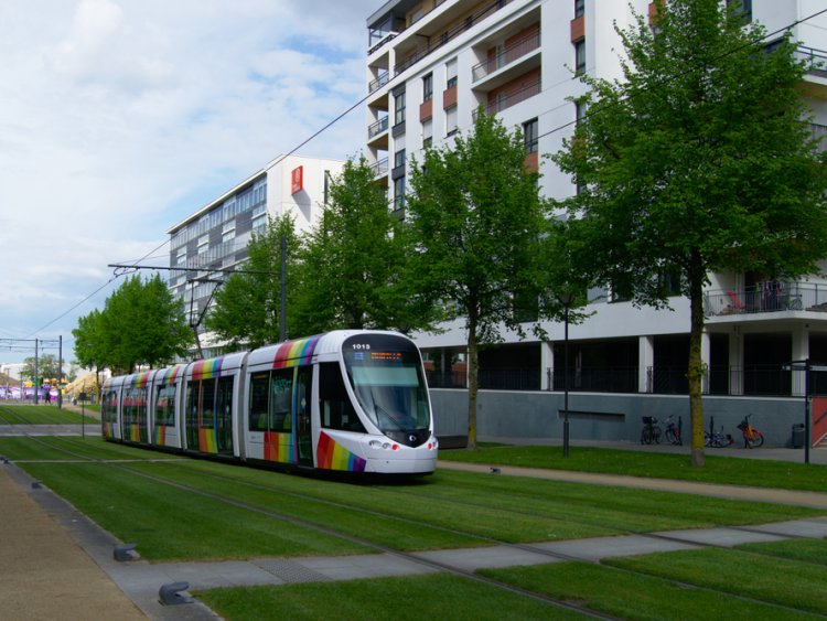 A Angers, le tramway dessert Belle-Beille, le centre-ville, Monplaisir ou la Roseraie, reliant quartiers résidentiels, campus et projets immobiliers.