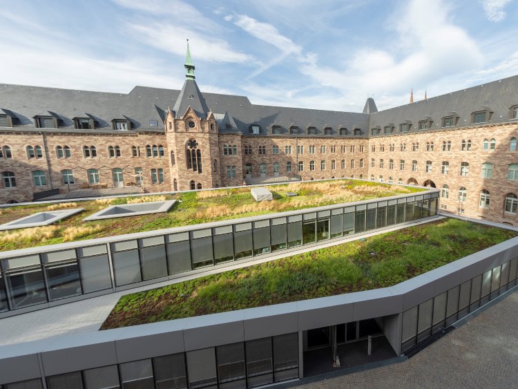 Outre une réhabilitation ambitieuse, l'Hôtel des Postes à Strasbourg a aussi profité d'une végétalisation importante des nouveaux bâtiments. | Hôtel des Postes / Strasbourg / Weber & Keiling Architectes