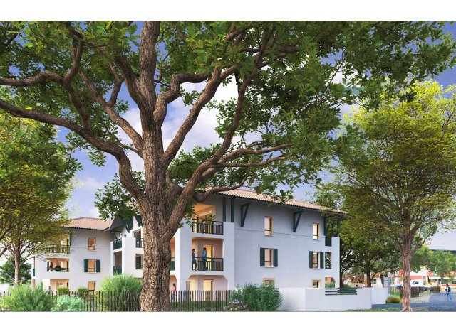 Eco habitat programme Capbreton - Centre Ville et Plage à Pieds Capbreton