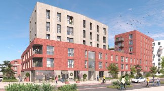 Eco habitat programme ANTHONIOZ Lille