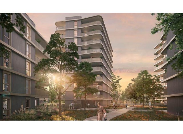 Projet éco construction Saint-Louis