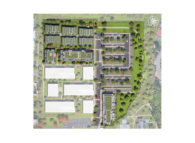Programme immobilier Saint-Louis