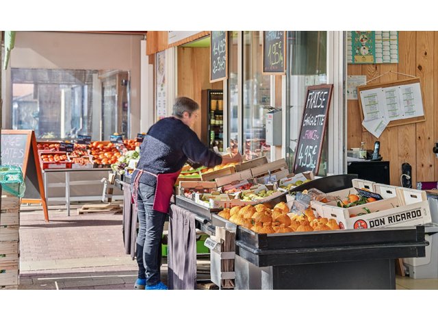 Eco habitat Biscarrosse