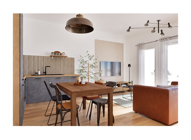 Programme neuf Les Collectionneurs � Tours