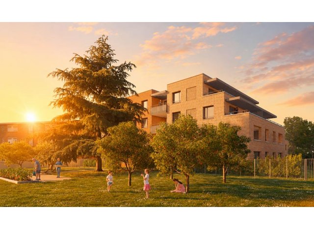 Programme �cologique Toulouse
