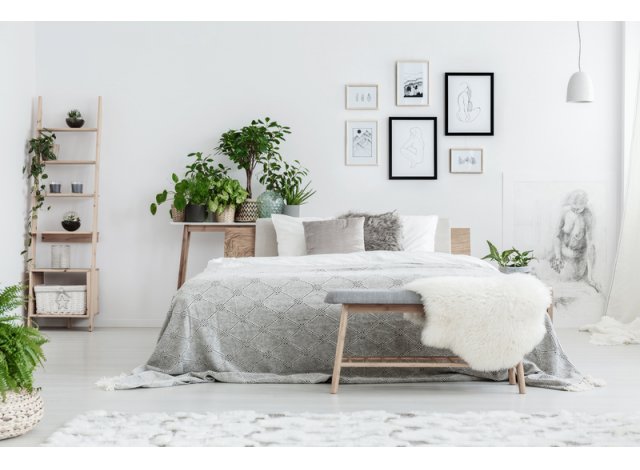 Programme investissement loi PinelVillefranche-sur-Sane