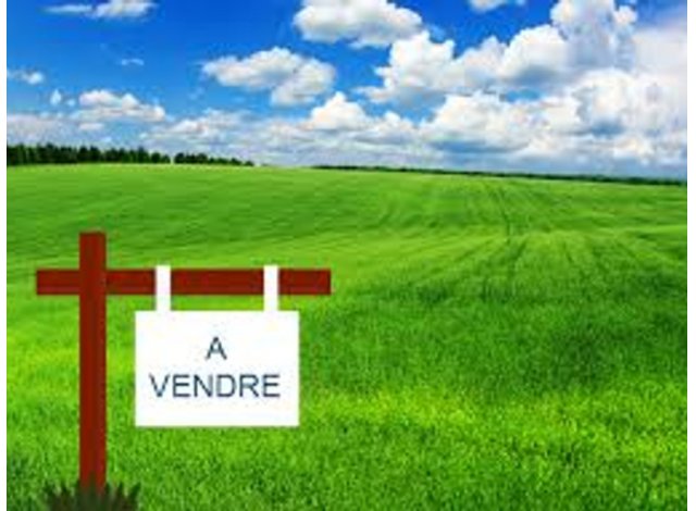 Immobilier neuf à Sainte-Anne