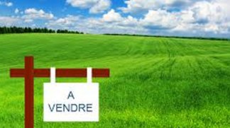 Investir programme neuf Petit-Bourg C1 Petit-Bourg