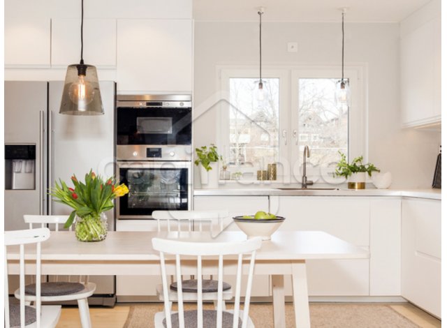 Investissement locatif Roissy-en-Brie