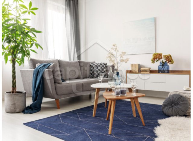 Investir dans le neuf Brest