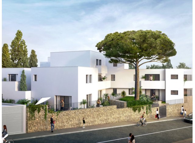 Montpellier C1 d�fiscalisation immobili�re