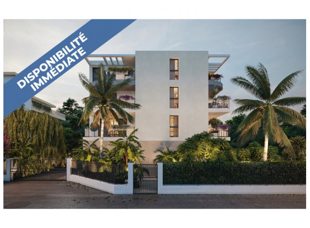 Antibes C2 d�fiscalisation immobili�re