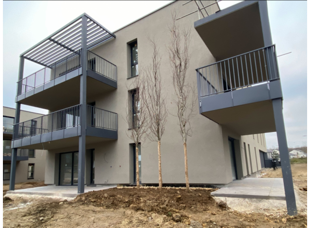 Programme immobilier neuf appart Basse-Ham