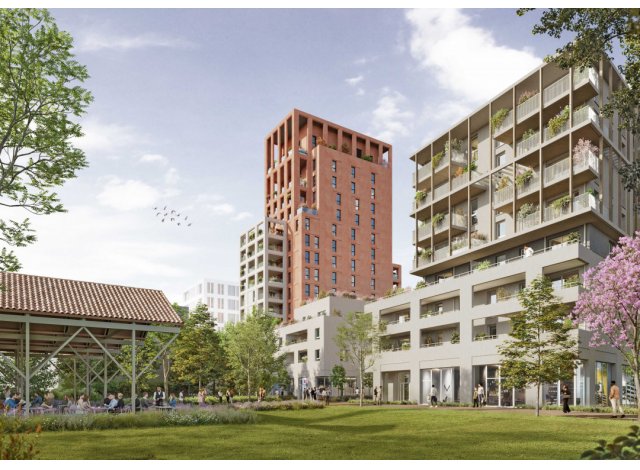Saint-Louis programme neuf  Les Lumieres