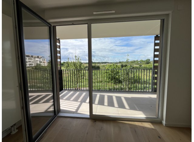 Projet immobilier Haguenau : Confidences