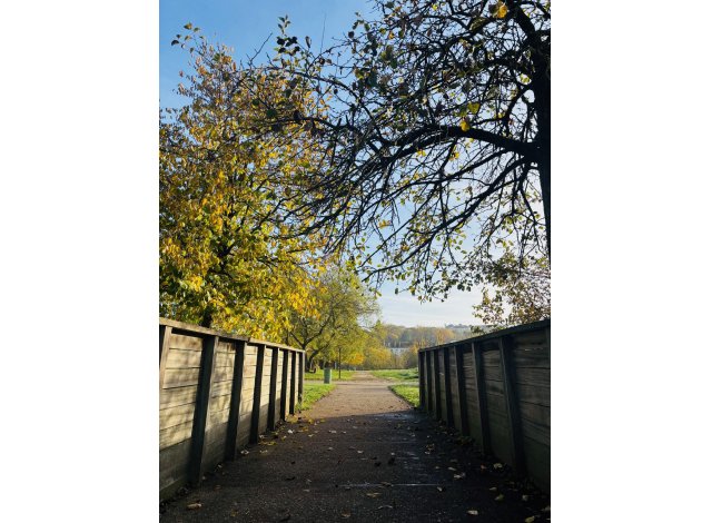 Eco construction Metz