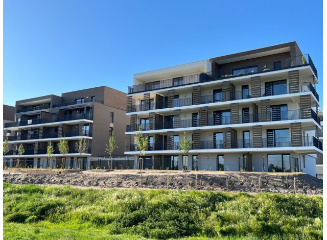 Logement neuf Haguenau : Confidences