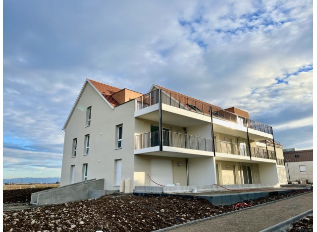 Immobilier loi PinelTurckheim