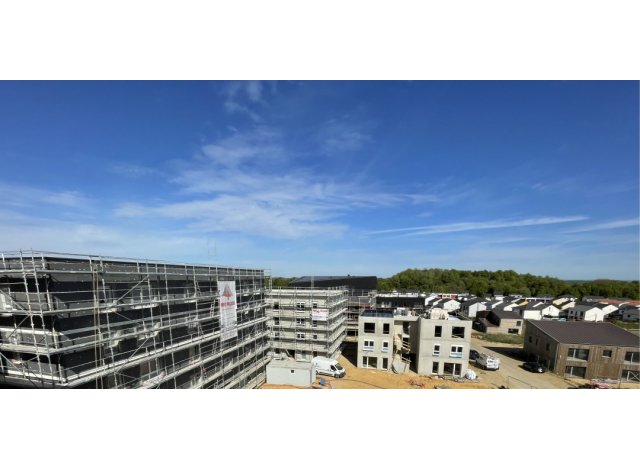 Programme neuf Villerupt : Les Lodges du Parc