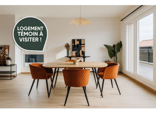 Immobilier neuf éco-habitat Confluence à Metz