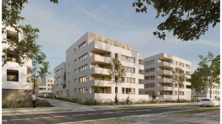 Investir programme neuf Millesime - Metz