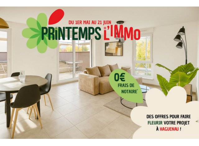 Appartement �cologique Haguenau