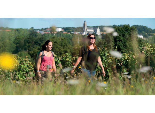 Logement neuf Vallet : Millesima