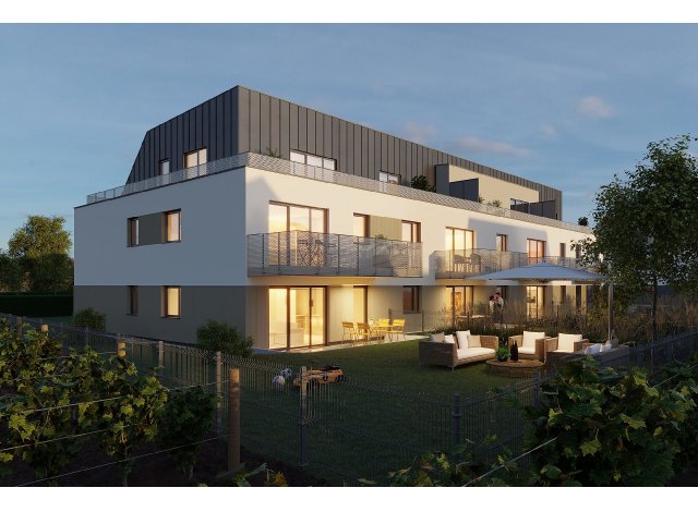 Ingersheim programme neuf  Cyllene