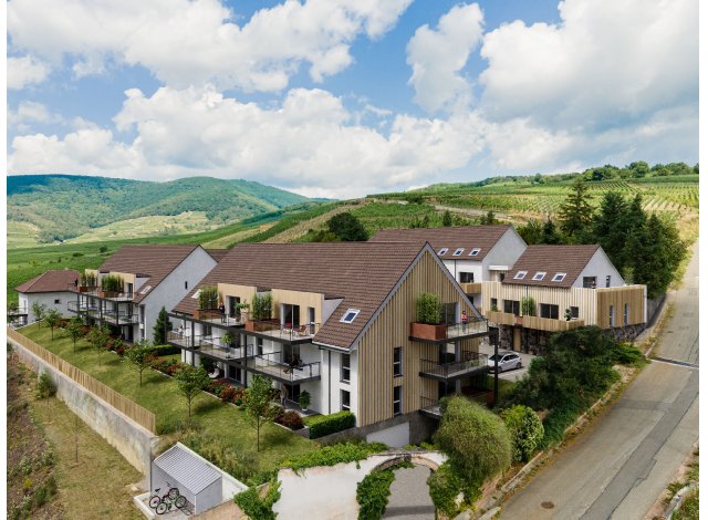 Programme immobilier neuf Les Hauts des Clarisses à Sigolsheim