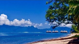 Programme neuf Tahiti à Punaauia