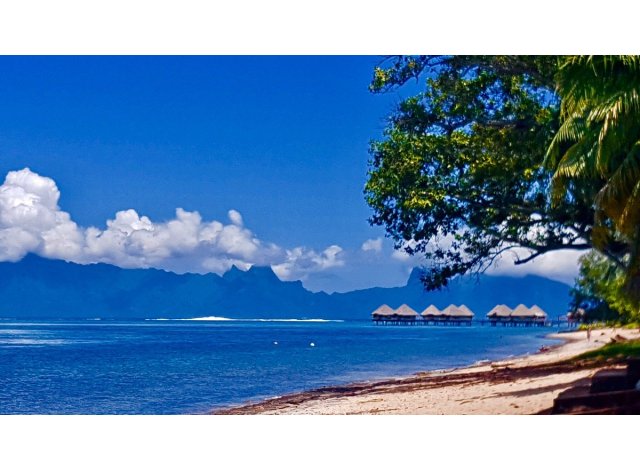 Programme immobilier neuf Tahiti à Punaauia