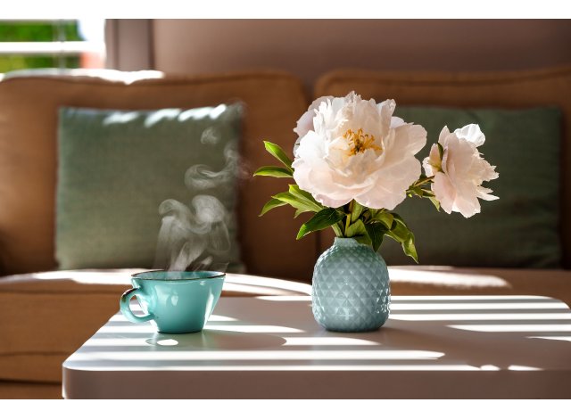 Appart Guilherand-Granges