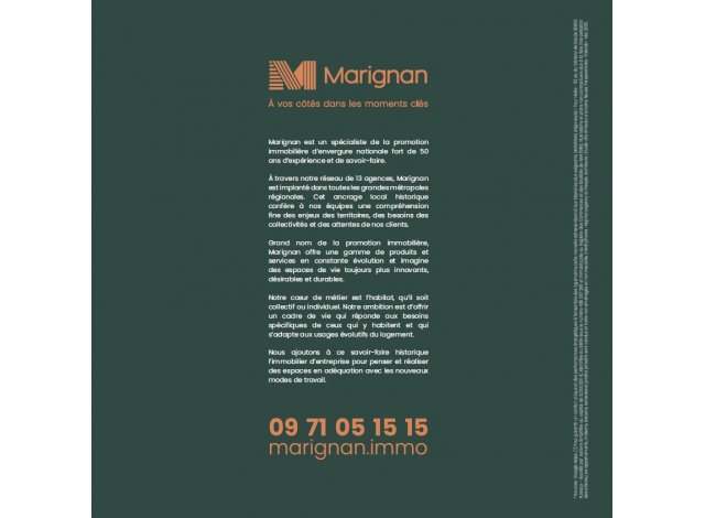 Immobilier pour investir loi PinelLoisin