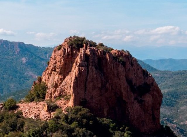 Investissement programme Pinel Le Patio des Lys