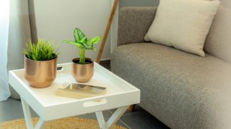 Programme neuf Urban&eacute;o Rue de la Ganzau &agrave; Strasbourg