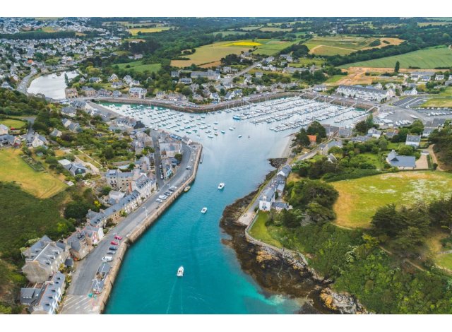 Swell logement �cologique